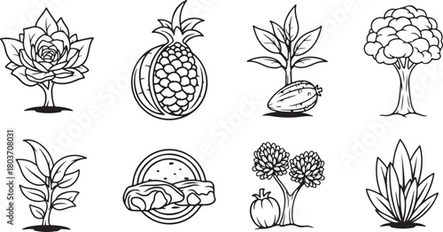 set of flowers and plants