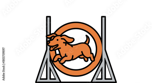 Happy dog jumps through agility training hoop with joy and enthusiasm