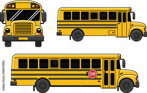 Set of three illustrated yellow school buses in front and side views, showing short and long bus designs with stop sign