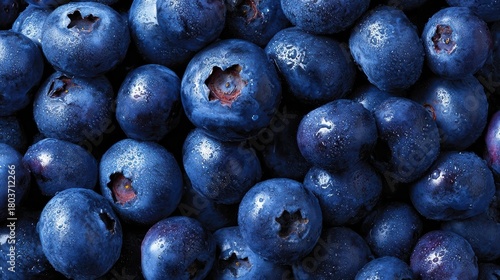 収穫したブルーベリー