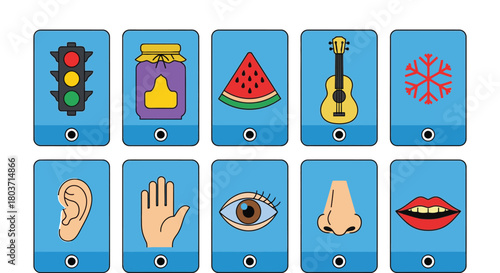 Engaging sensory learning resource for kids with sight sound taste