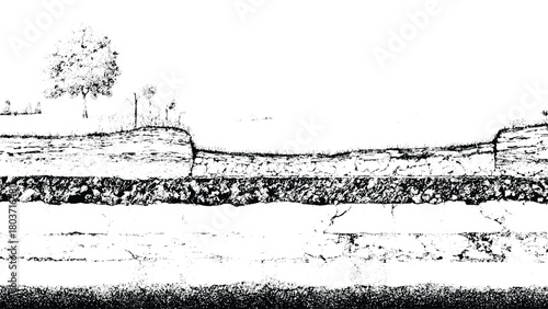 Geological cross-section showing earth layers, soil strata, and tree roots isolated on white background, Vector, illustration