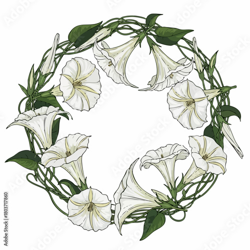 Floral wreath with white bindweed blooms and foliage forming natural round frame. Floral wreath arrangement in botanical style evokes feelings of simplicity and purity.