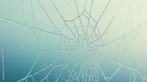 Close-up of a spider web pattern with dewdrops on a pastel background