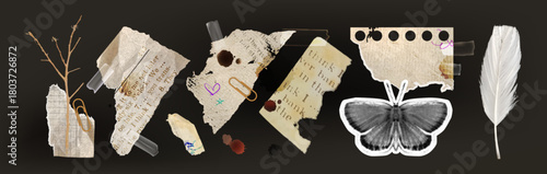 Vintage rip sticker set with torn paper strips, aged notebook pages and butterfly silhouette for scrapbooking or journaling. White feather and branch, clips and tape elements. Retro aesthetic design.