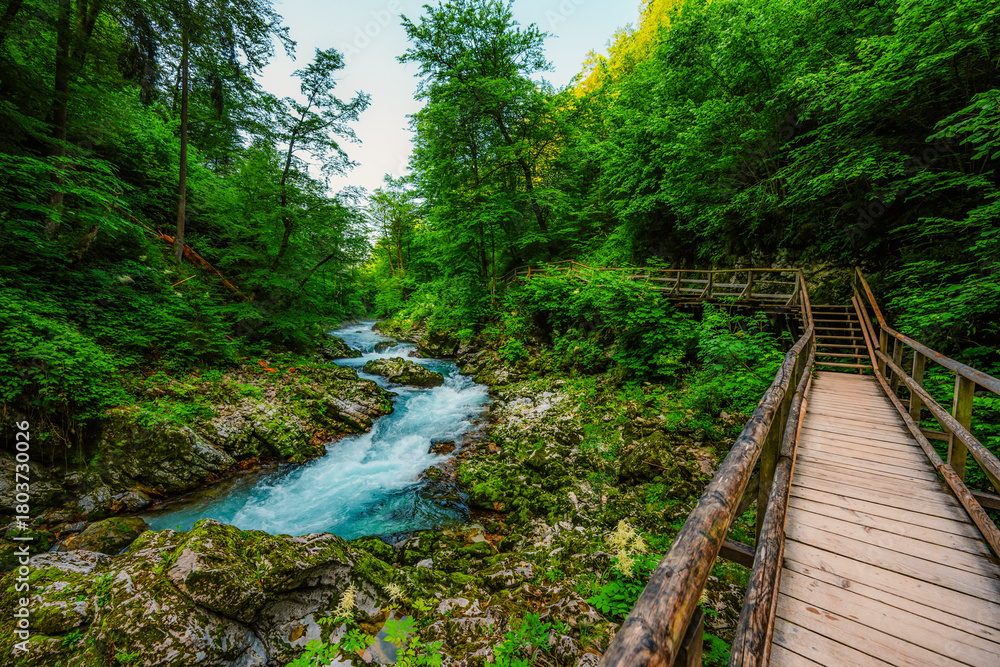 Obraz premium Wooden walkway through the Vintgar gorge near Bled lake in Slovenia, breathtaking views of the Radovna river