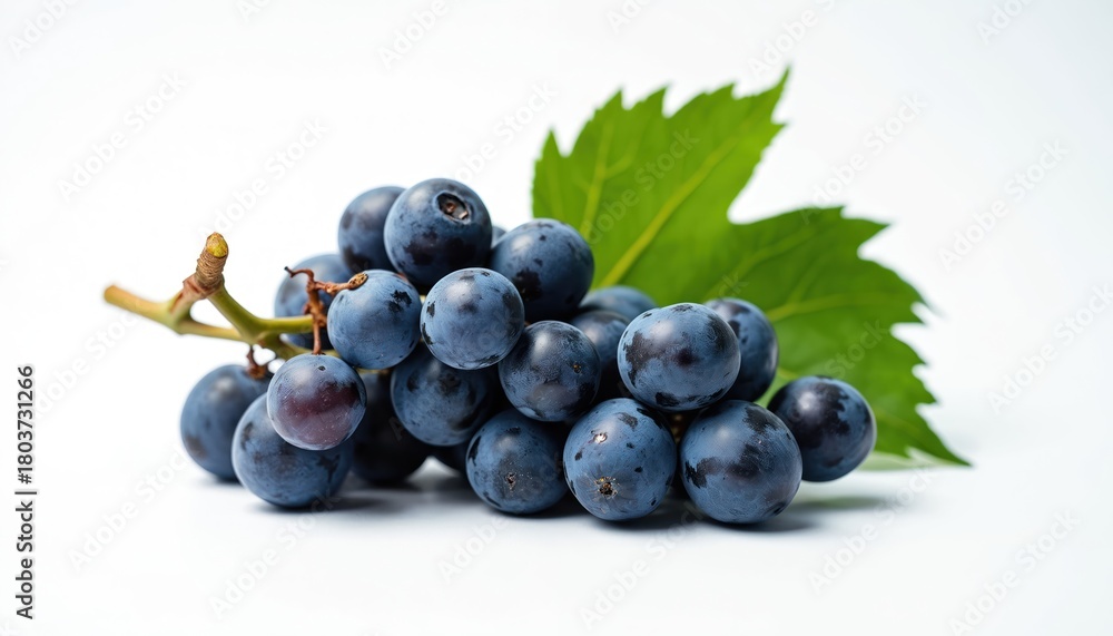 Fototapeta premium Dark blue grapes with a fresh green leaf on a clean white background. The ripe fruit cluster is perfect for food blogs, wine making, or healthy eating.