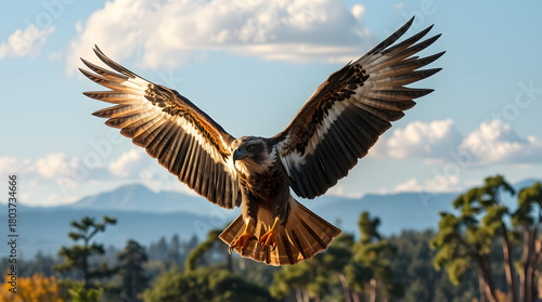 beautiful animals with simple concept