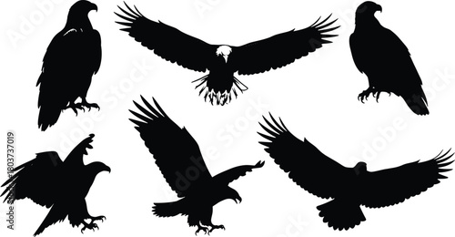Illustration of a collection of majestic eagle silhouettes isolated on, showcasing the birds power and grace in various poses, from soaring to perched