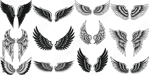 Illustration of a collection of various angel wings, each meticulously drawn with intricate details, showcasing a range of styles from bold and dramatic to delicate and ethereal isolated on