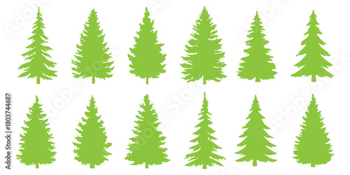 Pine trees collection. Conifer tree silhouettes on the white background Collection. Bundle of trees.