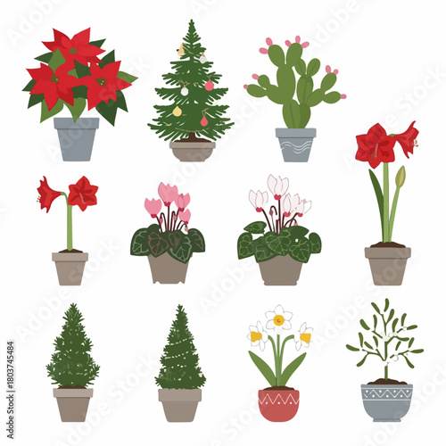 A collection of popular potted holiday and winter indoor plants including Poinsettia, Amaryllis, Cyclamen, and small decorated Christmas trees.