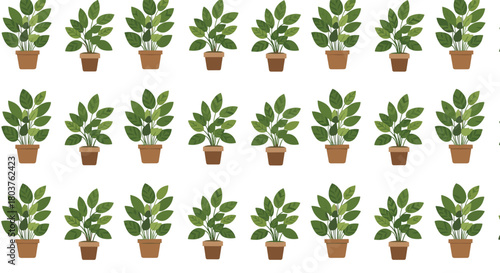 A collection of small potted green plants arranged in a repeating pattern.
