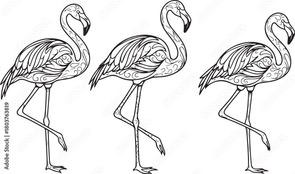 Obraz premium vector illustration of flamingo