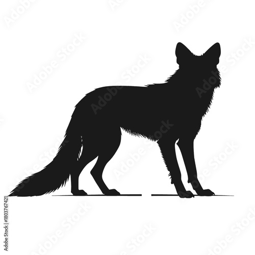 Black Silhouette of a Standing Fox with Detailed Fur Texture Against a White Background