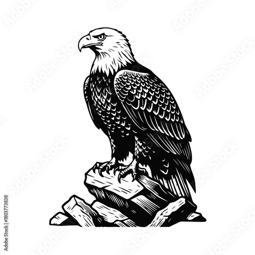 Eagle sitting on a rock in bold black-and-white style, powerful predator bird logo — eagle logo, bird emblem, wild eagle, rock eagle, strong bird