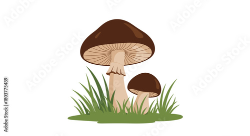 A pair of brown mushrooms growing in green grass during springtime.