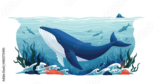 A majestic blue whale gracefully swims through the ocean's depths.