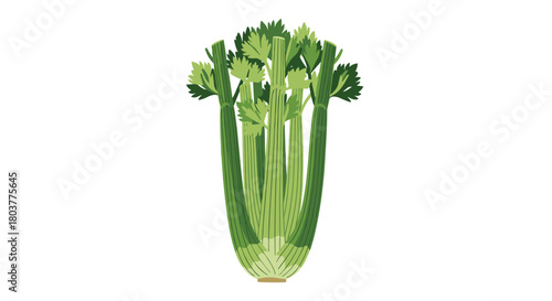 A detailed illustration of fresh celery stalks arranged closely together.