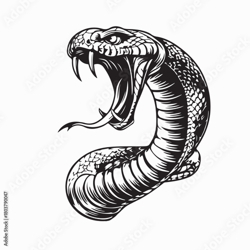 Aggressive Snake with Open Mouth Vector Illustration on white background