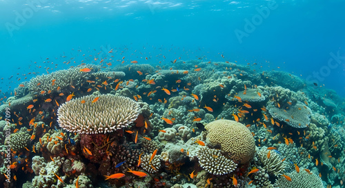 Fototapeta Naklejka Na Ścianę i Meble -  Underwater scene showing a vibrant coral reef with schools of small orange fish swimming around it ai generated