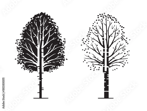 Birch tree icon vector illustration solid black white background forest