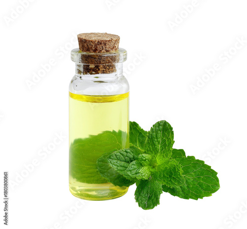 mint essential oil isolated on white background.