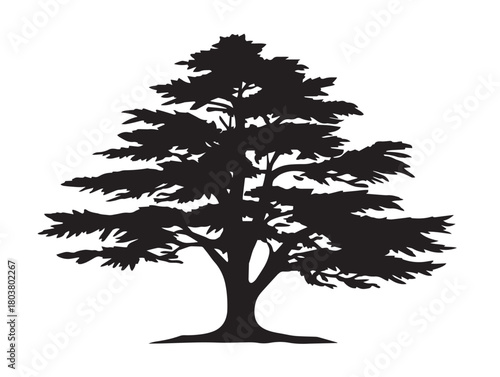 Cedar tree icon vector illustration solid black white background design