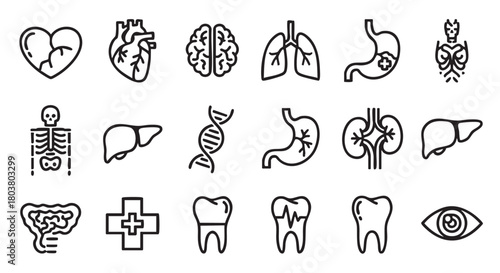 Medical Icon Set of Human Organs and Healthcare Symbol