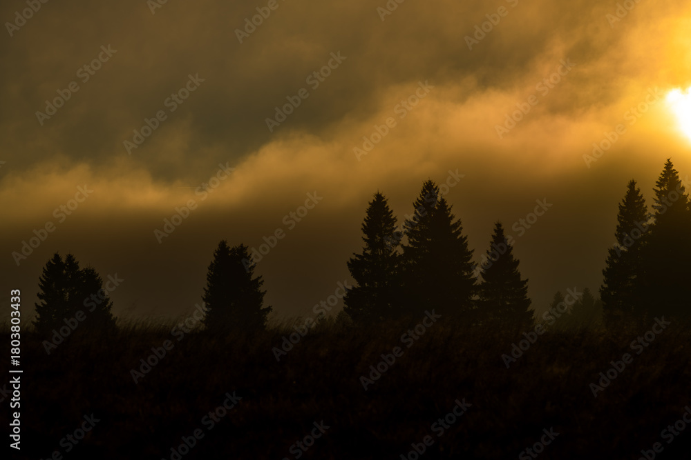 Fototapeta premium Forests in Krusne mountains in autumn evening near Horni Blatna