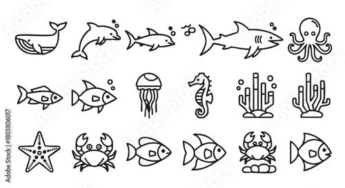 Sea animal icons collection of marine wildlife black and white drawings