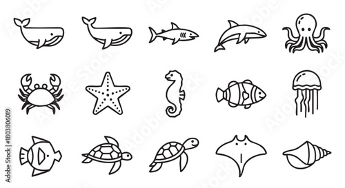 Sea animal outline seamless pattern design whale crab starfish fish turtle