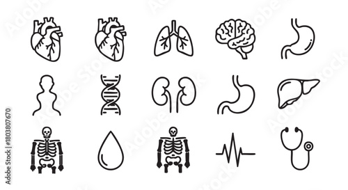 Set of medical anatomical icons of human biology and structure