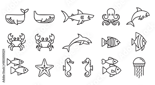 Simple line art illustration featuring various sea animals underwater marine life