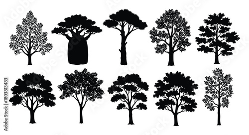Different kinds of trees silhouette vector. Collection of nature plants, garden plants.