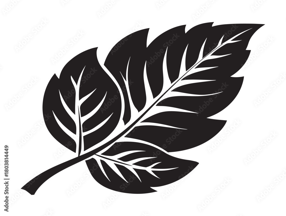 Fototapeta premium Tree leaf icon vector illustration solid black on a clean white background