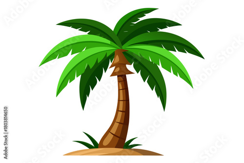 palm tree on white background