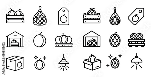 Minimalist Melon Icon Set
