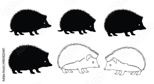 Set of hedgehog silhouettes in different styles isolated on, ideal for wildlife or animal themes
