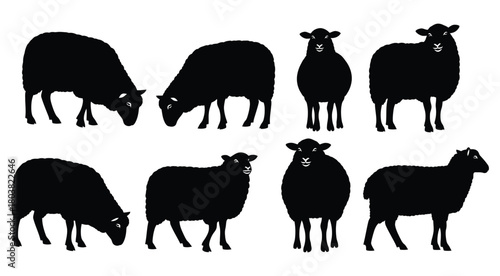 Silhouettes of sheep in various poses isolated on, creating a graphic design element