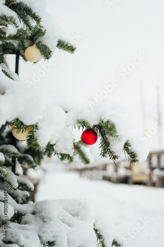 Close-up of snow-covered Christmas tree branch with red ornament