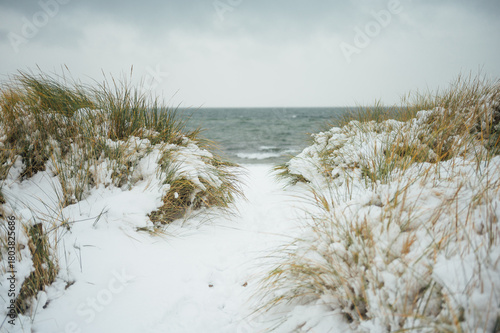 Fototapeta Naklejka Na Ścianę i Meble -  Snow-covered dunes in Heiligenhafen, Baltic coast of Germany