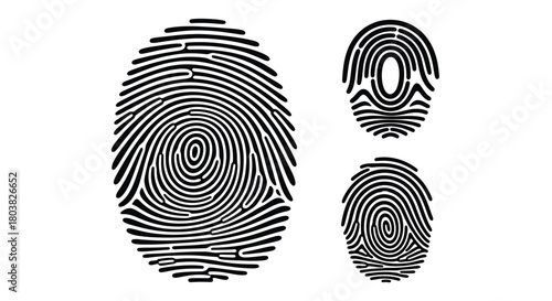 Unique fingerprint designs for identity, security and individuality