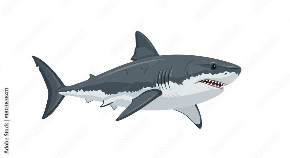 Obraz premium Shark Illustration Powerful Ocean Predator with Sharp Teeth