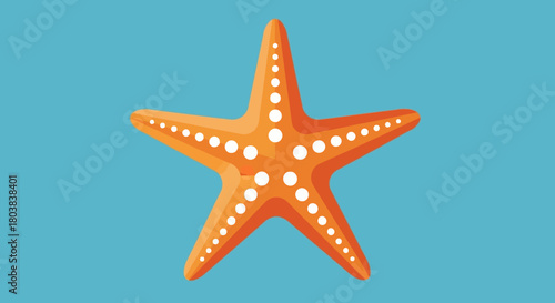 Orange Starfish Illustration on Turquoise Background