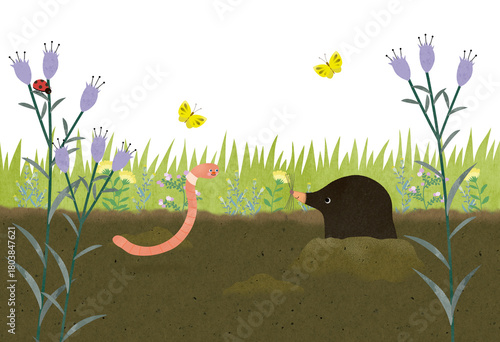 モグラとミミズ