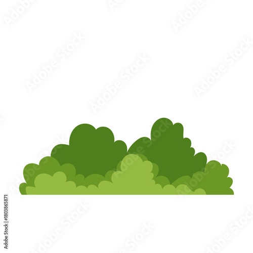Green Bush Illustration