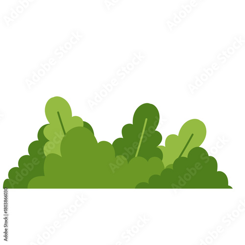 Green Bush Illustration