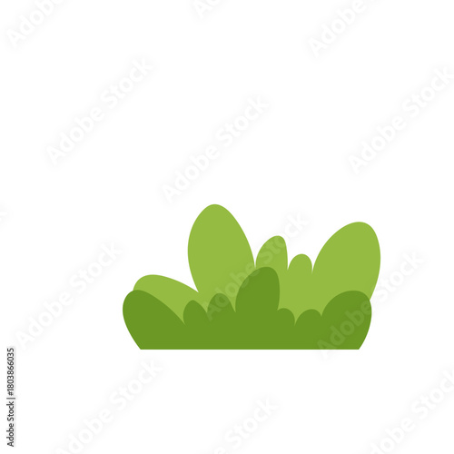 Green Bush Illustration