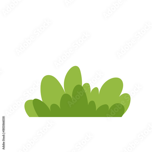 Green Bush Illustration